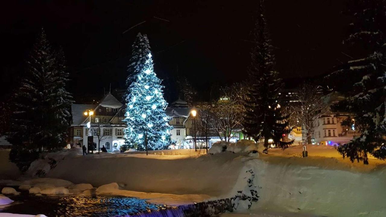 Apartman Medvedin 110 Špindlerŭv Mlýn 外观 照片
