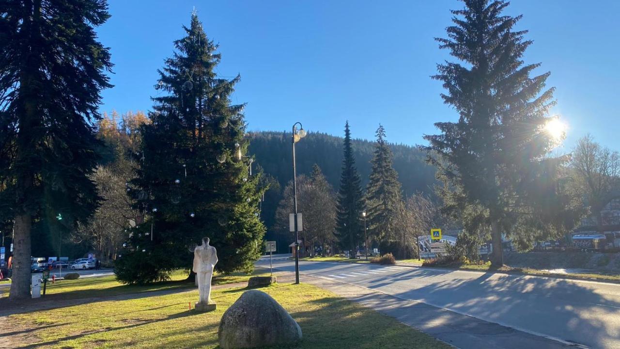 Apartman Medvedin 110 Špindlerŭv Mlýn 外观 照片
