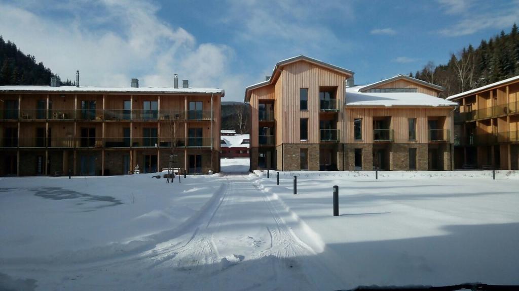 Apartman Medvedin 110 Špindlerŭv Mlýn 外观 照片